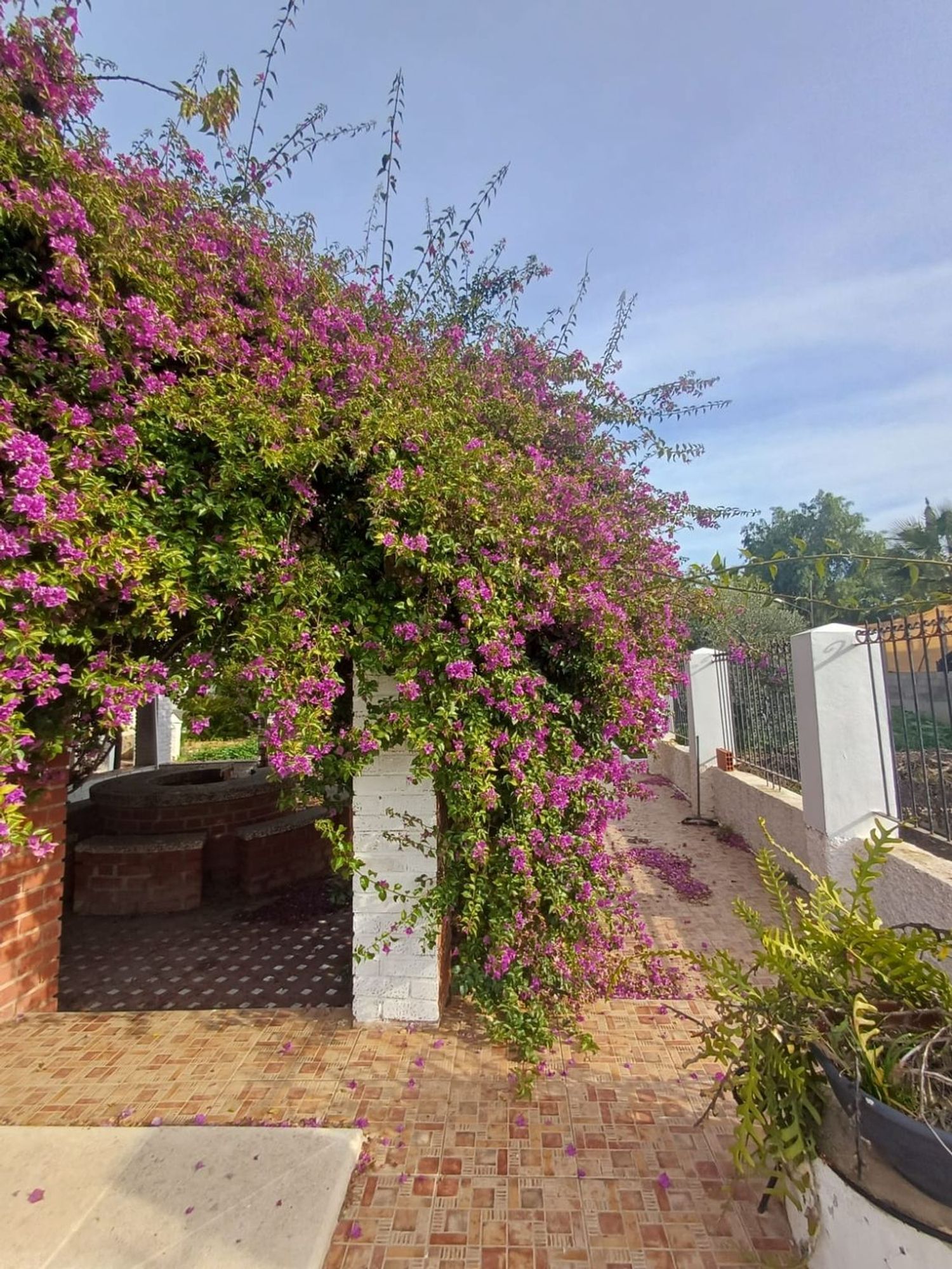 Casa independiente en Av vereda Real, 15 - Foto 8