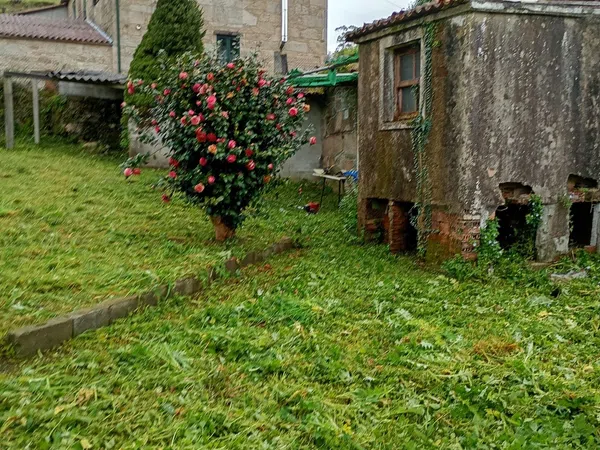Casa rural en Instrumento, 4, Área de Ames, Área de Ames - Foto 26