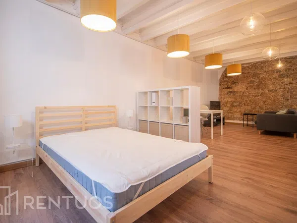 Estudio en calle de Ferran - Foto 15