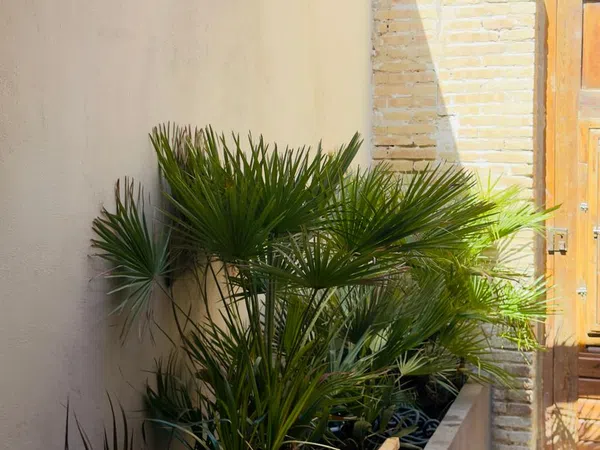 Casa o chalet independiente en Calle de la Mestra Pilar Hernández, 4, El Cabanyal-El Canyamelar - Foto 5