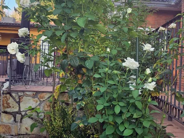 Casa de pueblo en Calle 15, 8 - Foto 32
