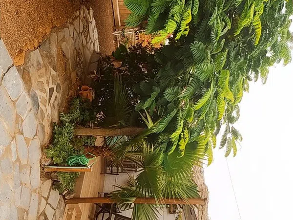 Casa independiente en calle Doctor Crespo, 4 - Foto 1