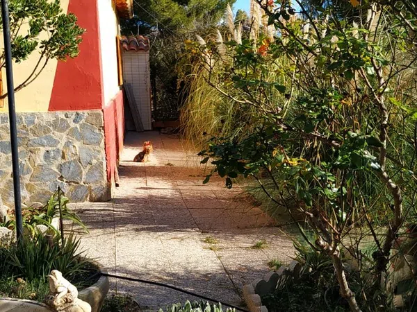 Casa rural en Ricote s/n - Foto 6