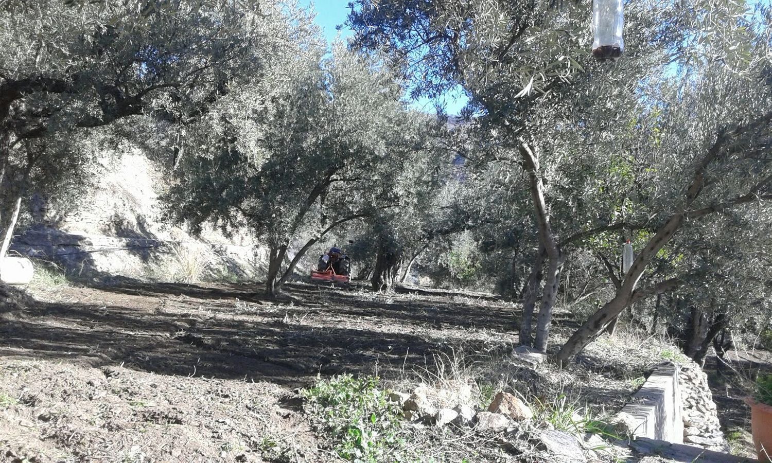Finca rústica en Calle a, 1 - Foto 24