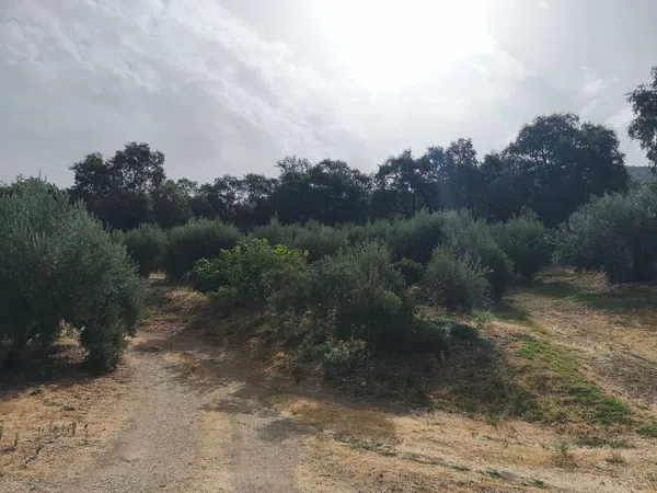 Finca rústica en Las veredas s/n s/n - Foto 2