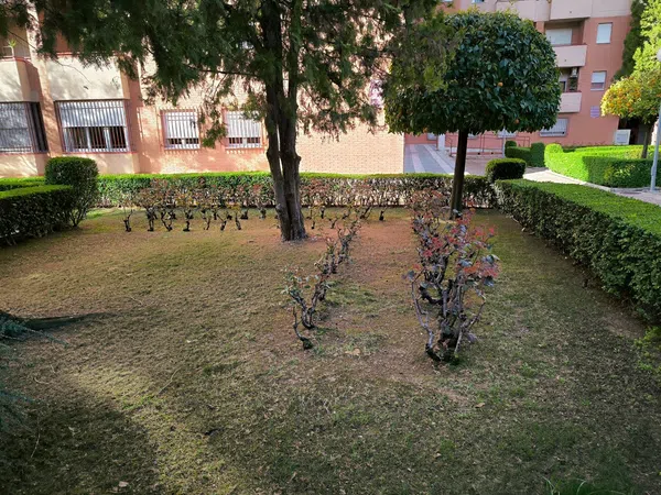 Piso en Plaza María Angustias Giménez, 1 - Foto 10