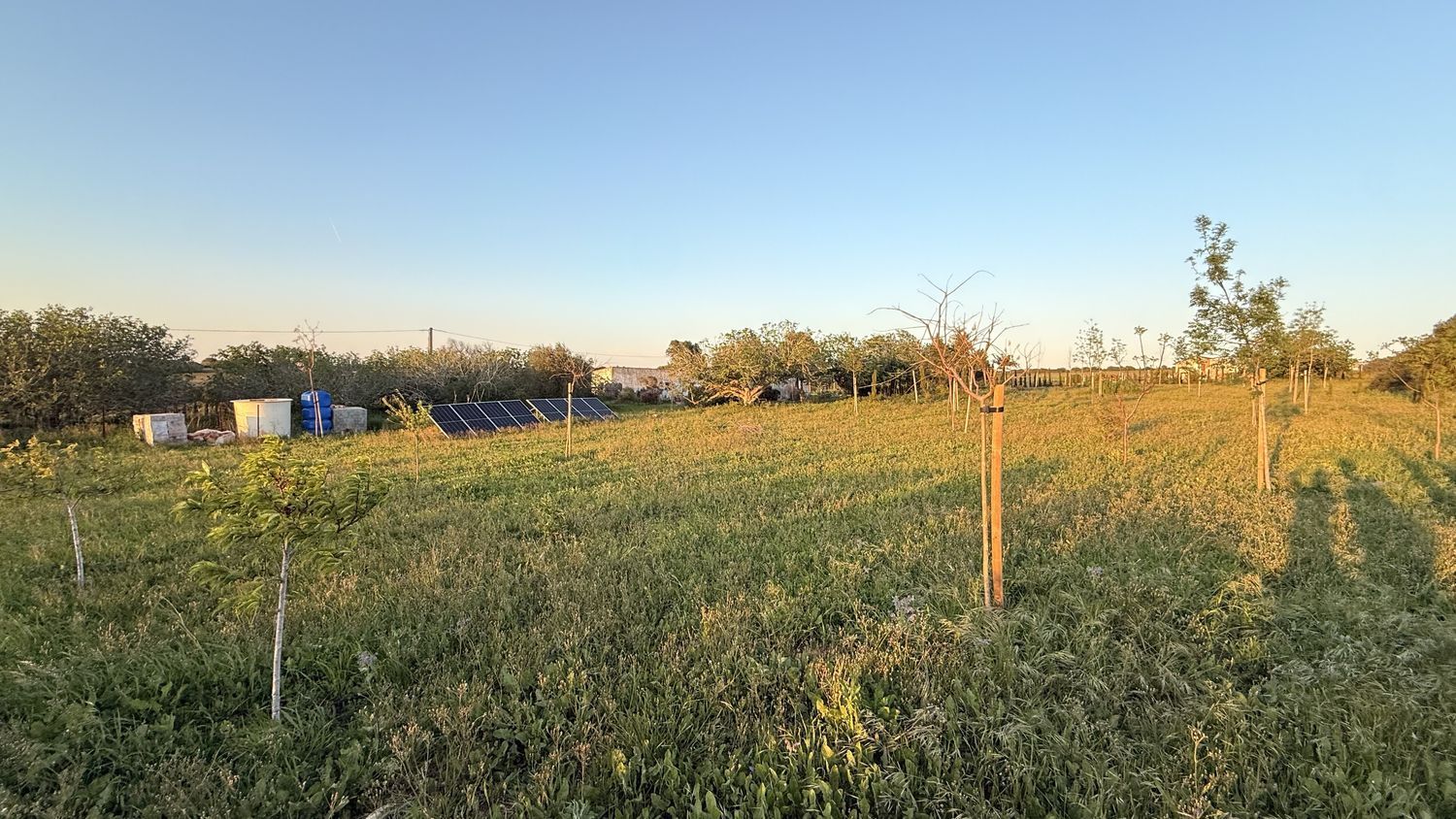 Finca rústica en Ca-4201 s/n, Barrio Nuevo, Barrio Nuevo - Foto 22