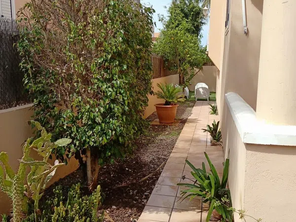 Chalet pareado en Siena, 28, Almardá, Almardá - Foto 14