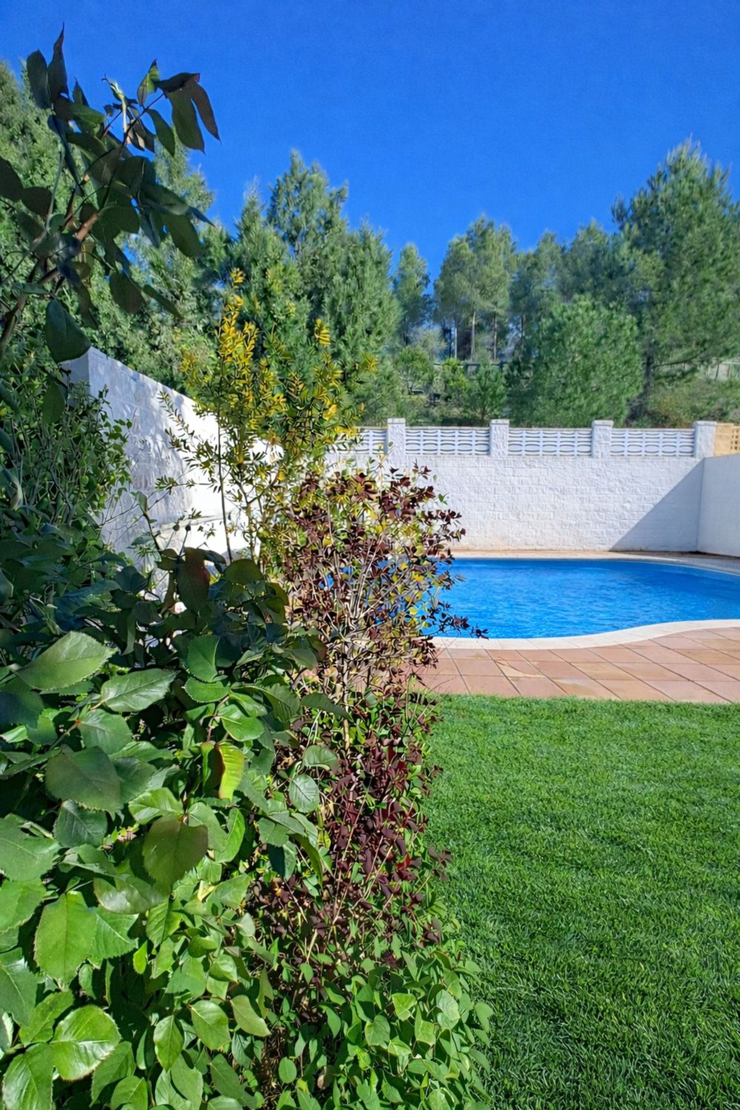 Chalet pareado en calle de los Eucaliptos, 86 - Foto 8