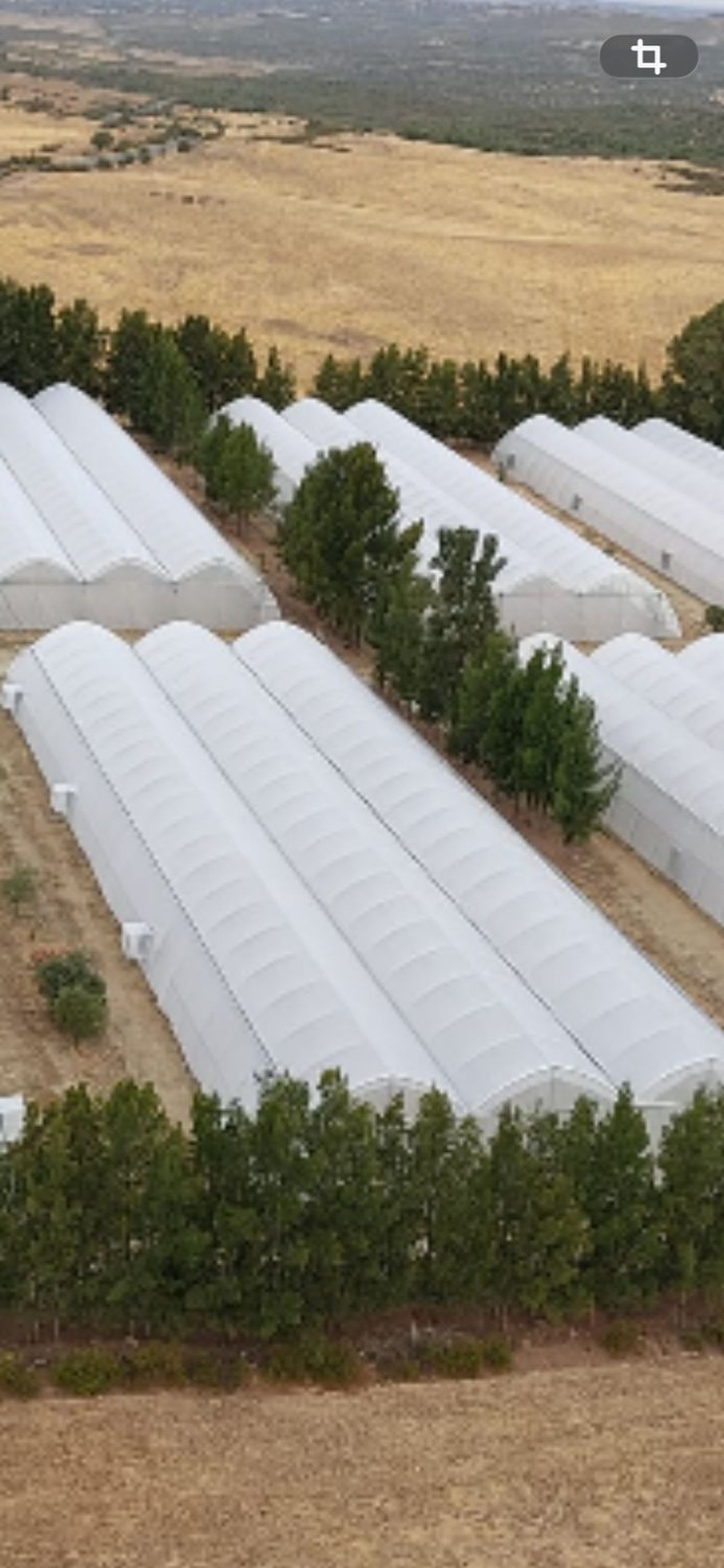 Finca rústica en Carretera de las Herrerías a Puebla de Guzmán s/n - Foto 5