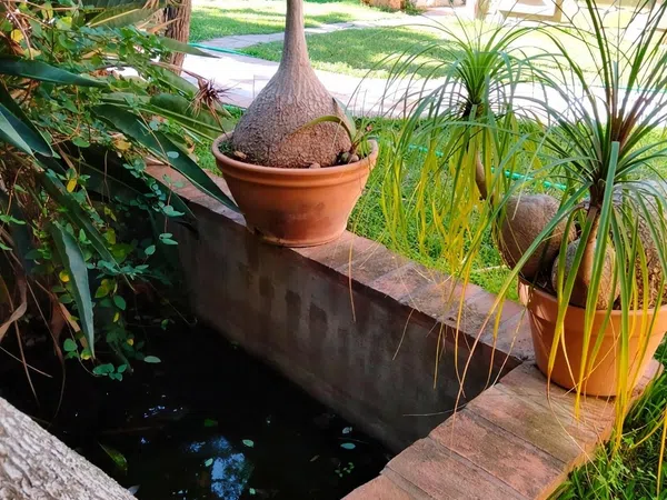 Casa independiente en Carretera, 188 - Foto 12