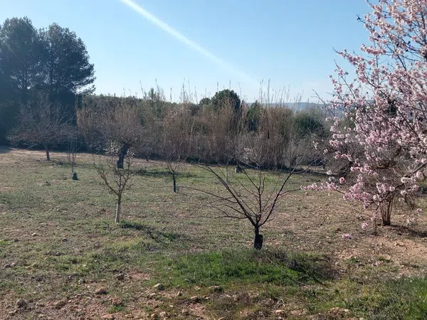 Finca rústica en Poligono 2, 121 Parcela - Foto 18