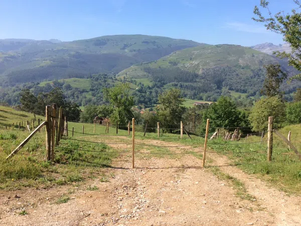 Finca rústica en Avenida Alisas, 5 - Foto 31