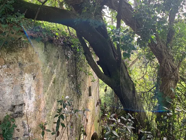 Casa rural en Caserio Calambre, 6 - Foto 6