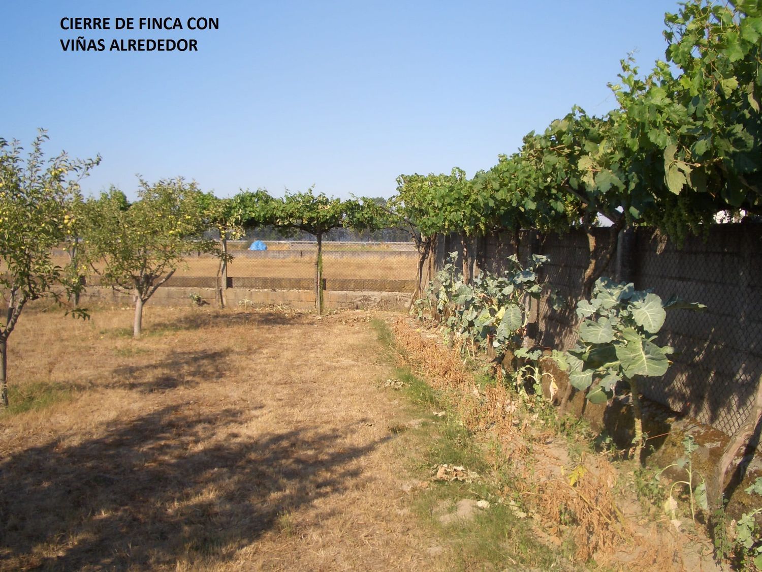 Casa rural en Estrada bordecha s/n - Foto 16