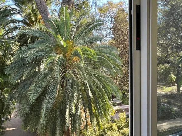 Piso en paseo de la Petxina, 13 - Foto 8