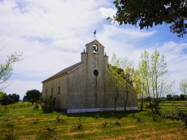 Finca rústica en Via Ruta de la Plata, 37799 - Foto 5