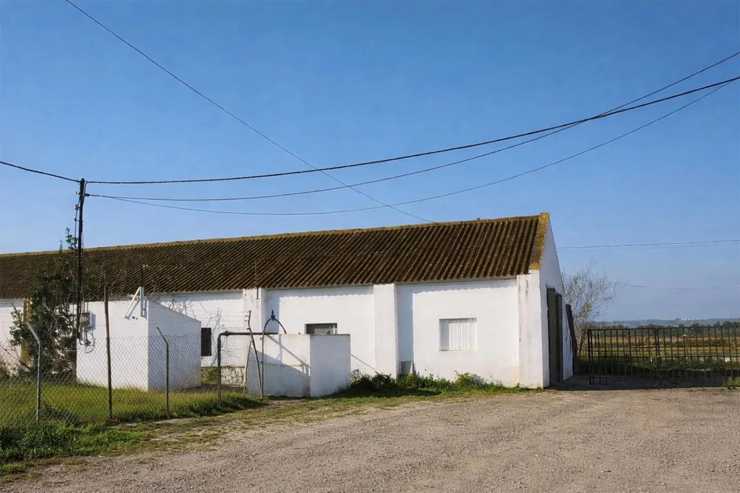 Finca rústica en  Carretera Sevilla 3 - Foto 5