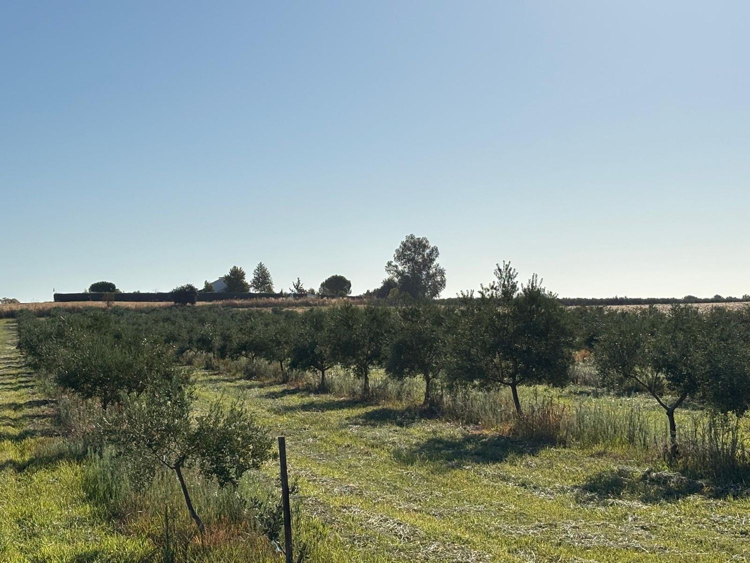 Casa o chalet independiente en Montijo - Foto 39