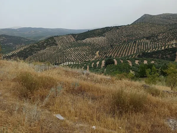 Cortijo en Cortijo en Unnamed Road s/n - Foto 8