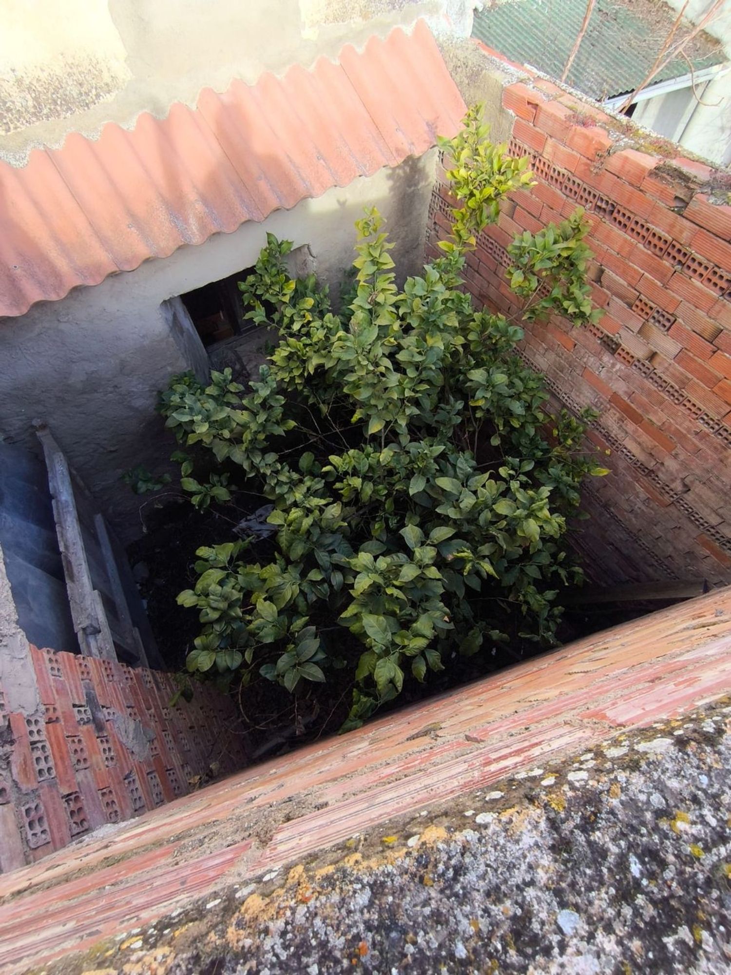Casa de pueblo en Calle Rejas, 6 - Foto 24