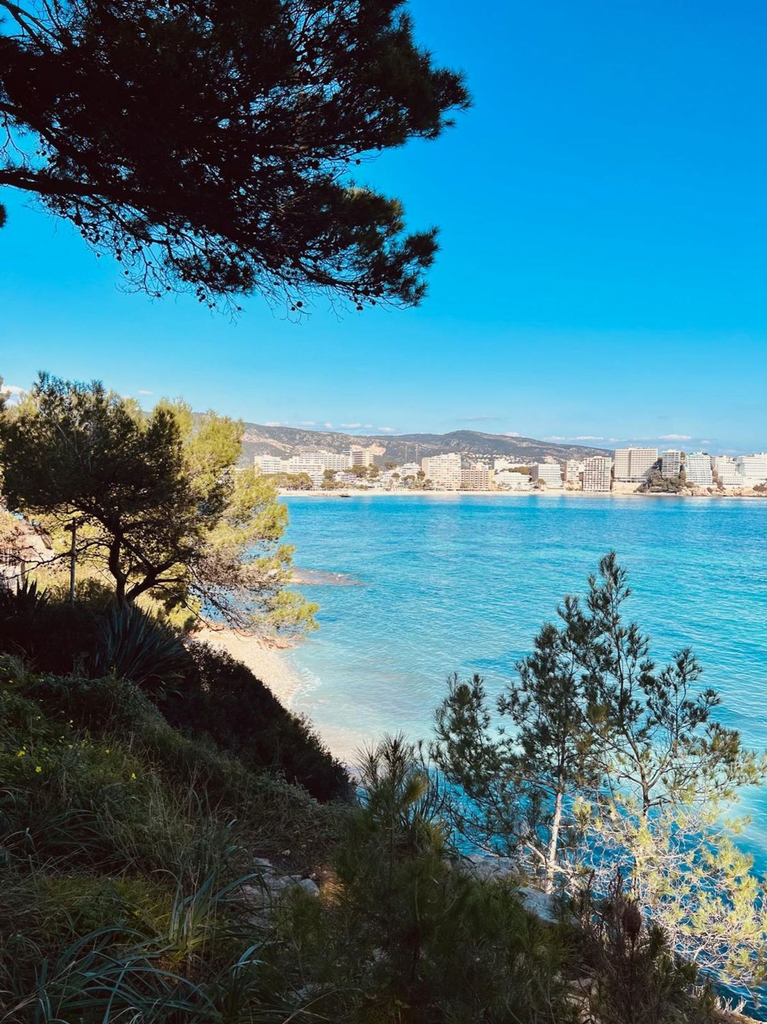 Piso en Avenida Notari Alemany, 15, Magaluf, Magaluf - Foto 15