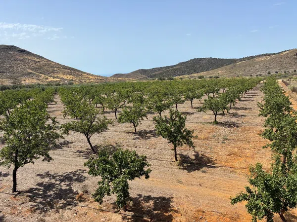 Cortijo en Cortijo en A-1178 s/n - Foto 3