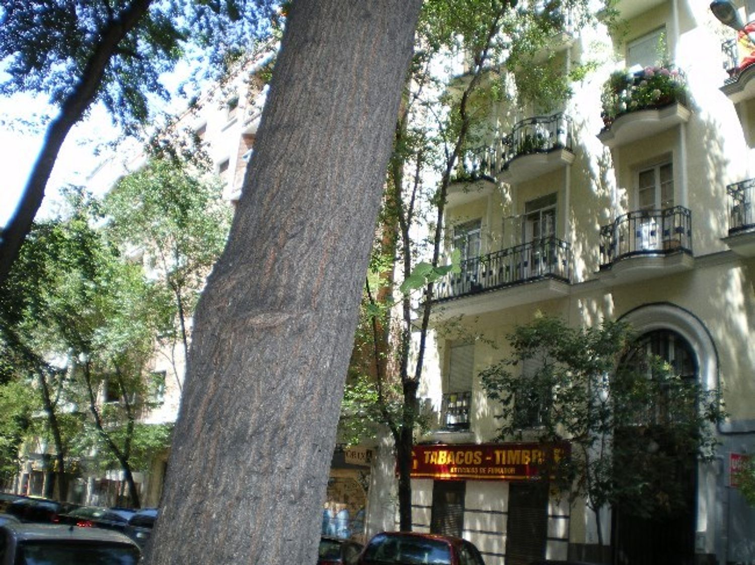 Piso en Calle Gaztambide, 33, Gaztambide - Foto 7