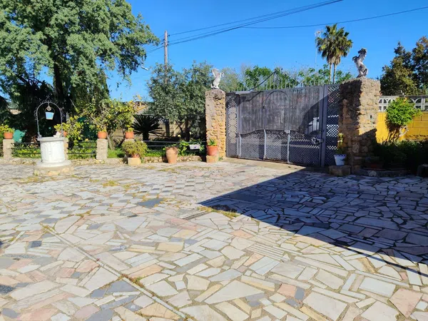 Finca rústica en Calle lentisco (Urbanización acebuchal), 2 - Foto 26