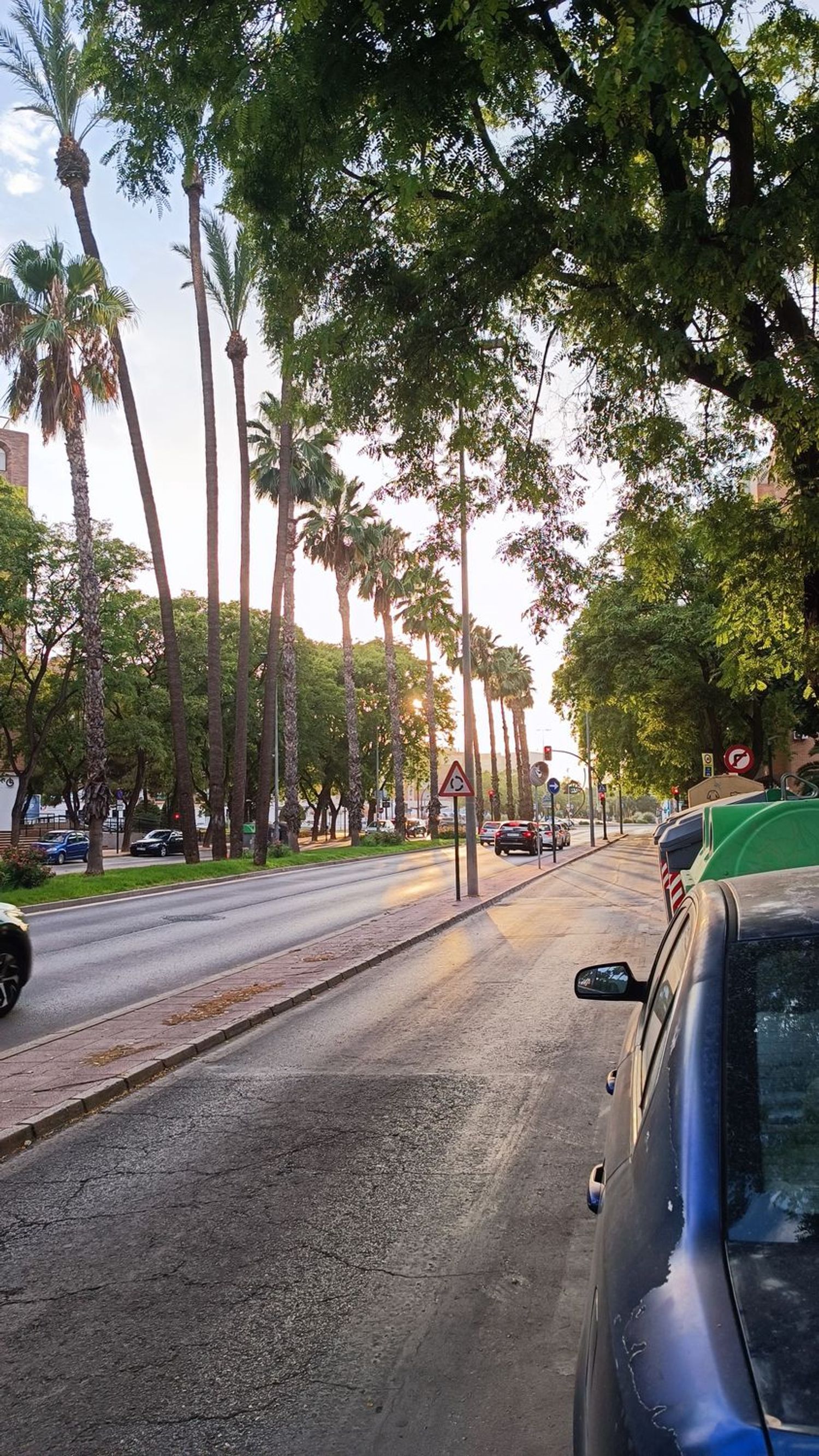 Piso en Avenida de los Pinos, 34, Santa María de Gracia - Foto 15