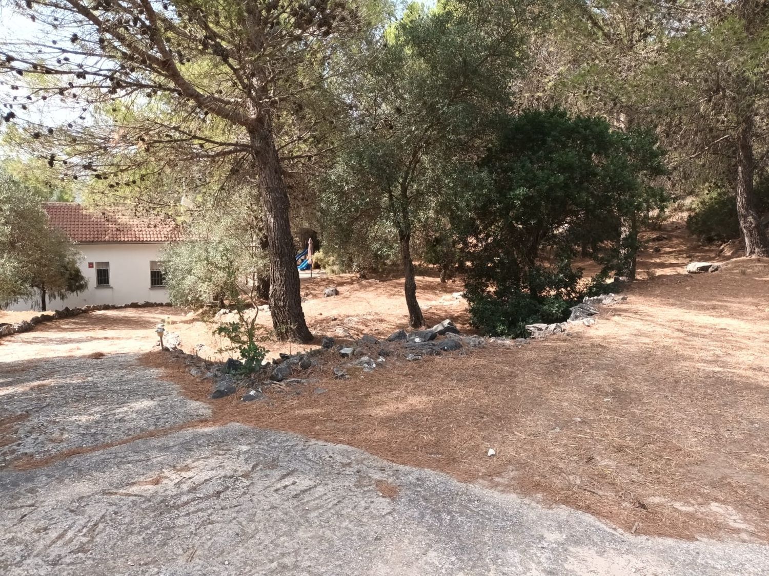 Finca rústica en Camino de la Sierra de las Nieves s/n - Foto 29