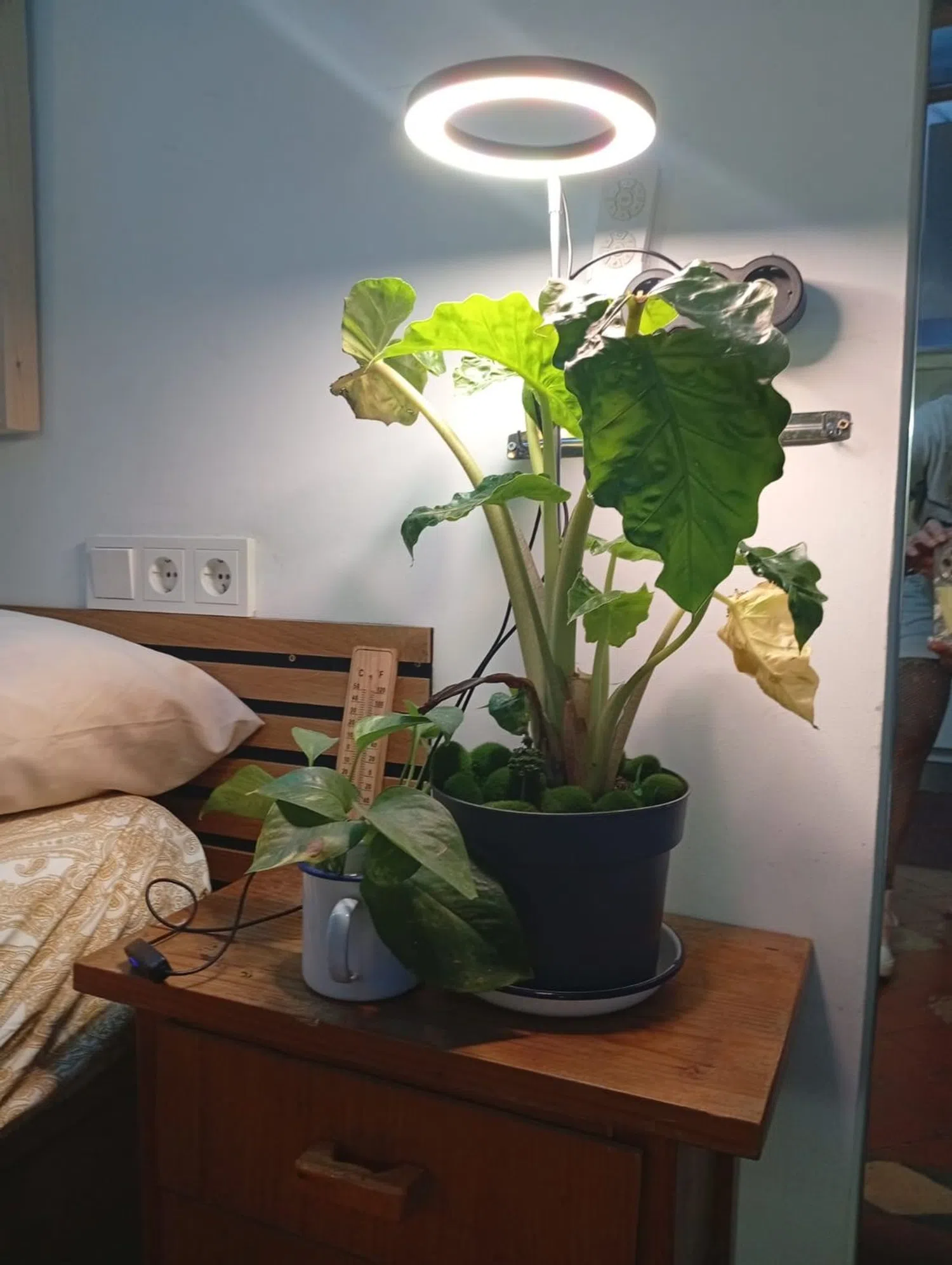 Piso en calle d'Avinyó, 42 - Foto 27