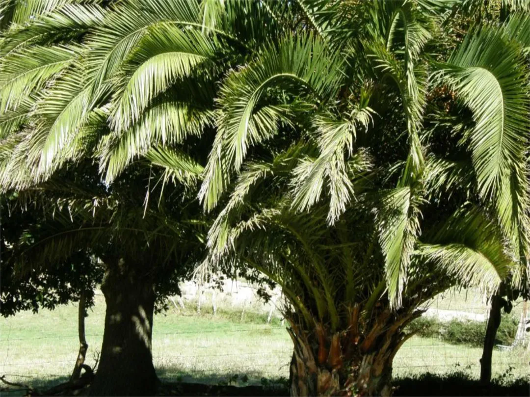 Piso en  Caserio la Braña 9 - Foto 6