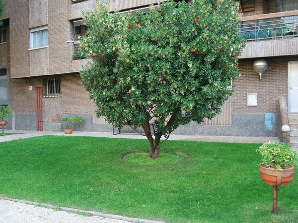 Piso en Calle Real, 53, Alto de la Jabonería - Foto 15