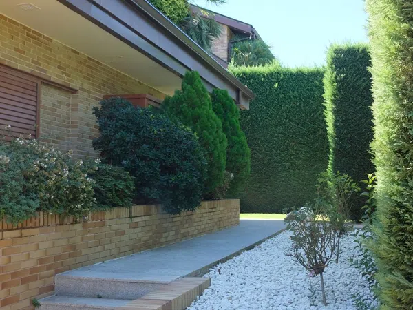 Casa o chalet independiente en Ciudalcampo - Foto 3