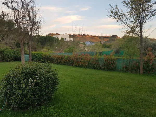 Casa o chalet independiente en Altos de Jarama, Altos de Jarama - Foto 15