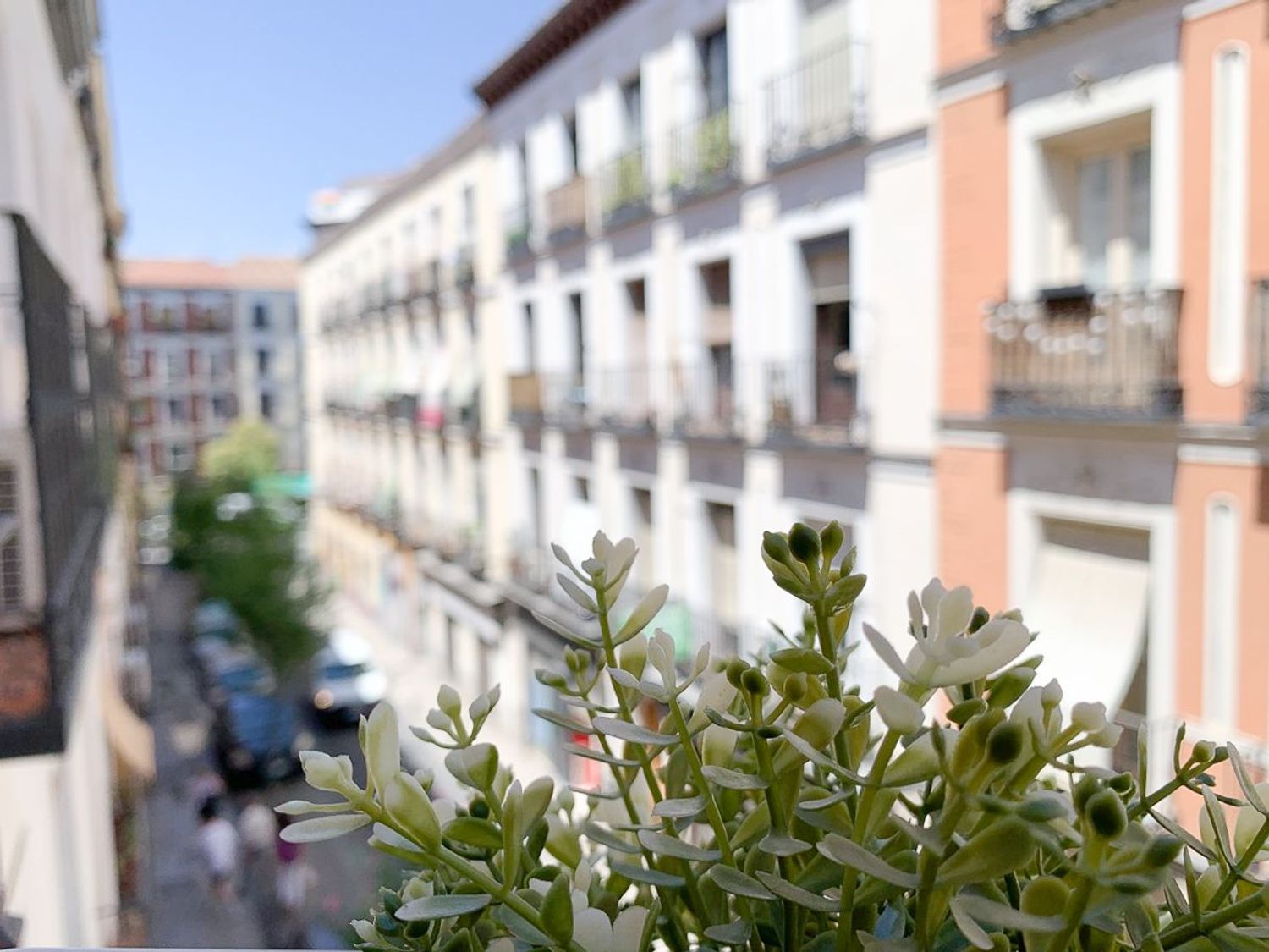 Dúplex en Barrio Lavapiés-Embajadores - Foto 6