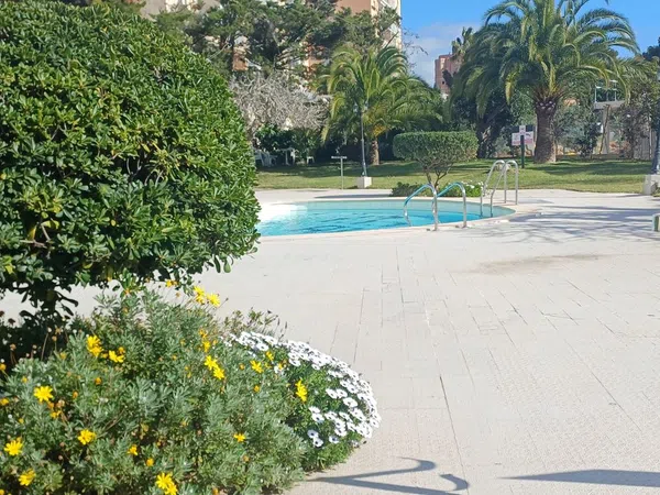 Piso en Palmanova - Foto 29