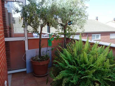 Chalet en  Carrer de Sant Jaume 205 - Foto 14