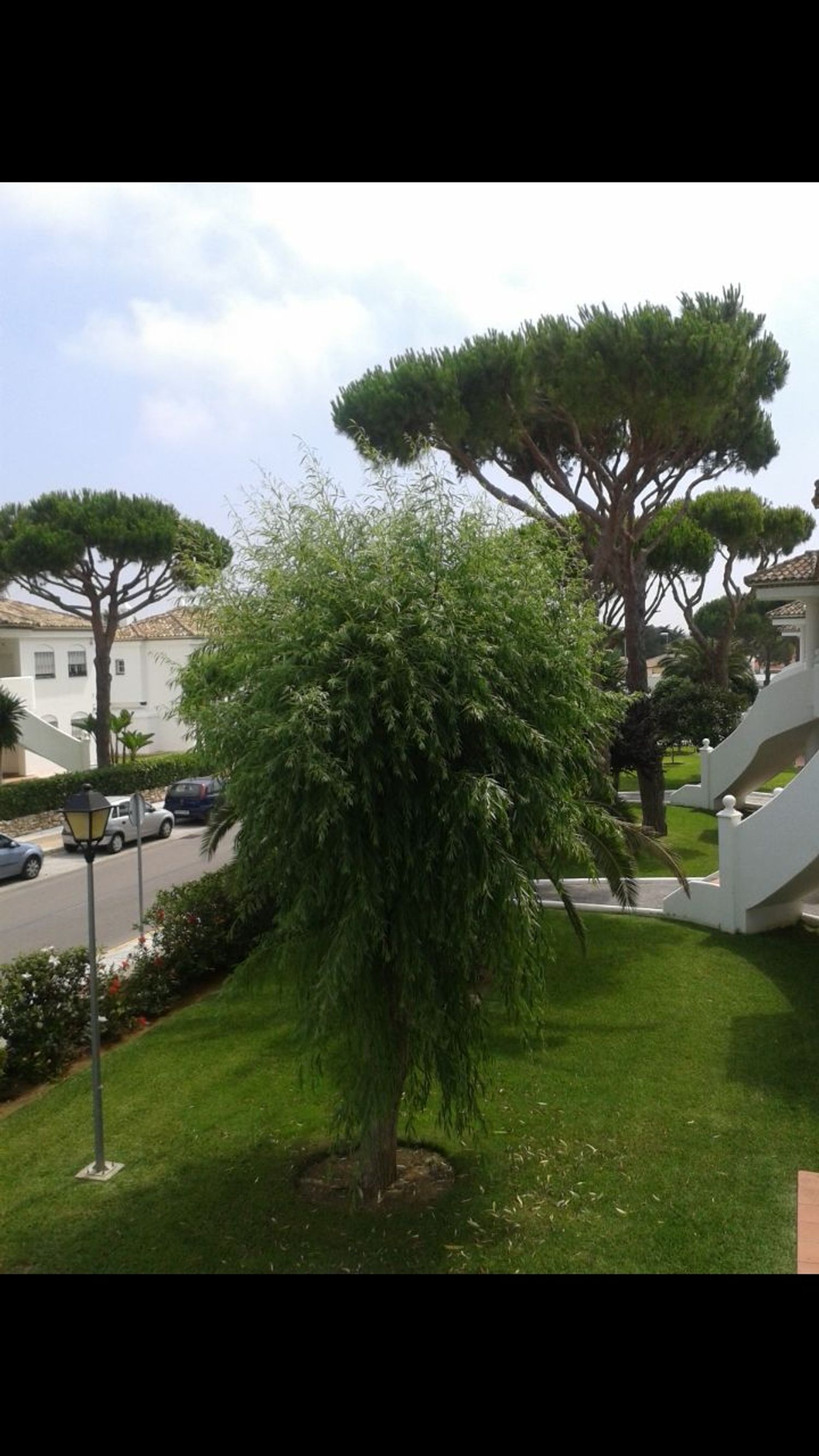 Piso en Avenida de las Quintas, 4, La Barrosa - Foto 24