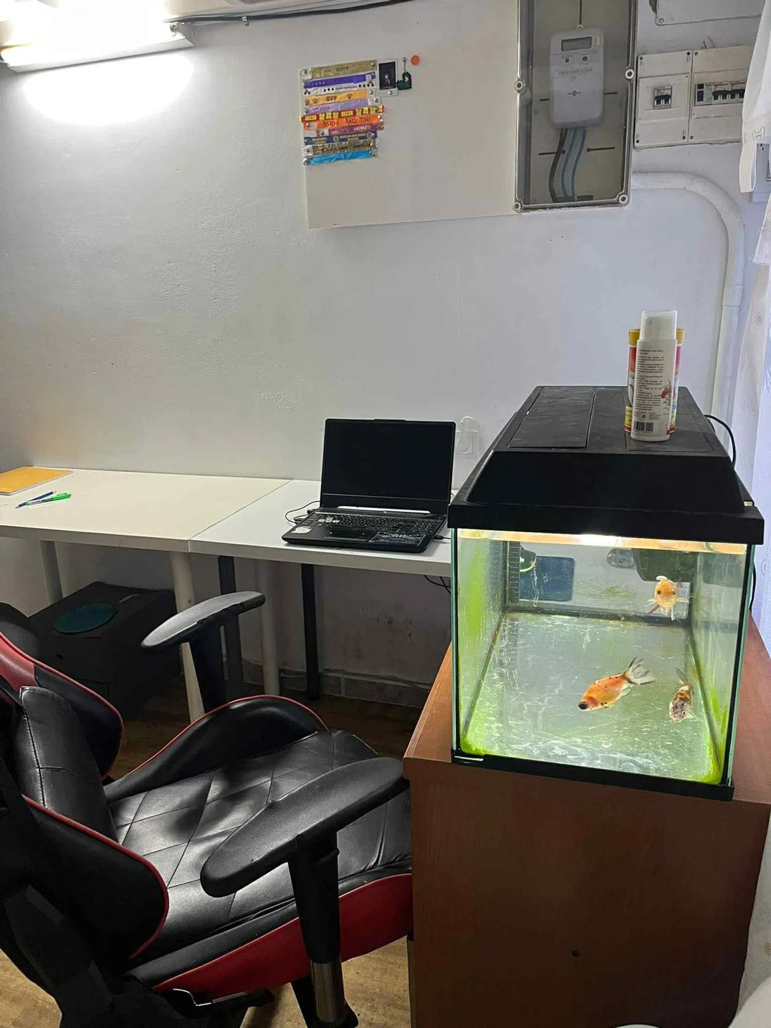 Estudio en calle de Huelva, 108 - Foto 2