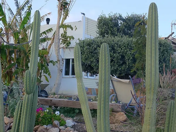 Casa rural en Diseminado el Charcon, 1 - Foto 7