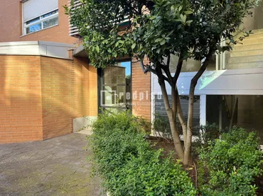 Piso en Pozuelo de Alarcón - Foto 3