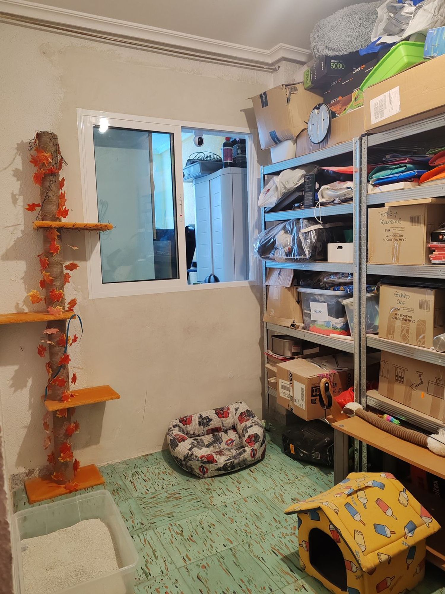 Piso en Calle Pascual Sempere Mogica, 1, Los Magros-Casablanca - Foto 22