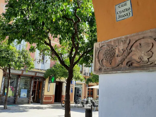 Estudio en Calle Cuatro Juanes, 8 Juderia, Centro - Foto 19
