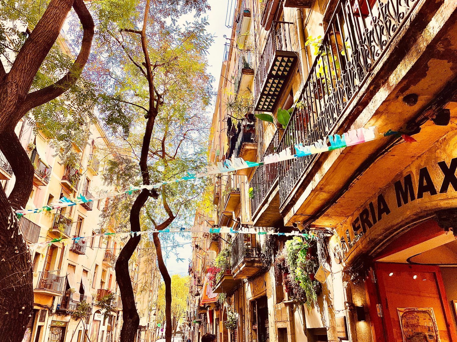 Estudio en Plaza de Sant Pere, 4, Sant Pere - Santa Caterina i la Ribera - Foto 17