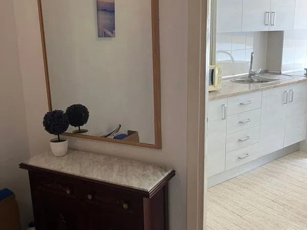 Piso en Avenida de Pablo Iglesias, 8 junto a Puerta Purchena, Centro-Rambla, Centro-Rambla - Foto 15