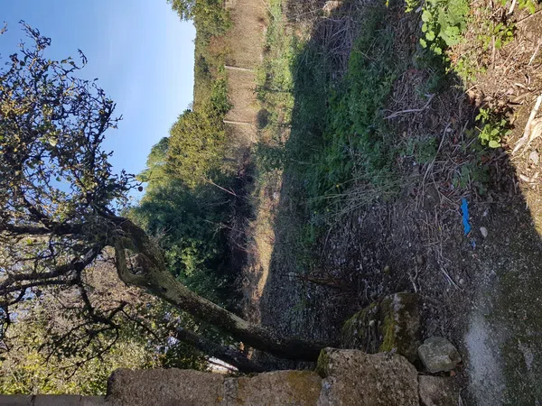 Casa de pueblo en Lugar Castelaus, 37 - Foto 4