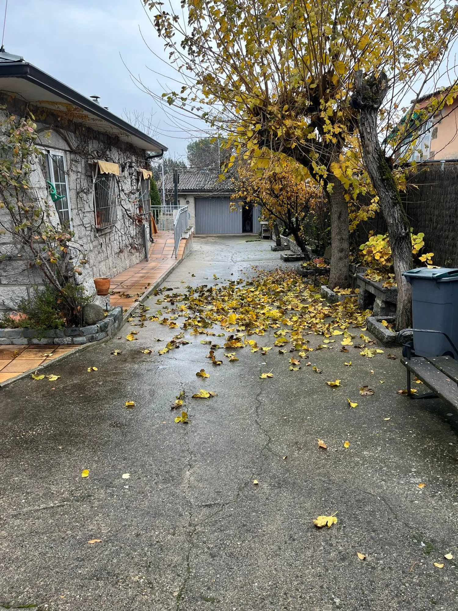 Casa independiente en Barrio Las Matas- Peñascales - Foto 5