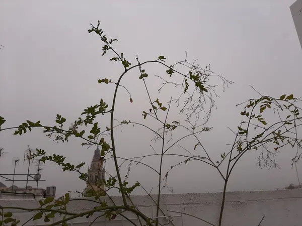 Ático en calle Blanco Belmonte, 15 - Foto 1